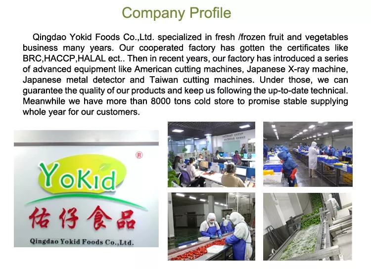 company (1)